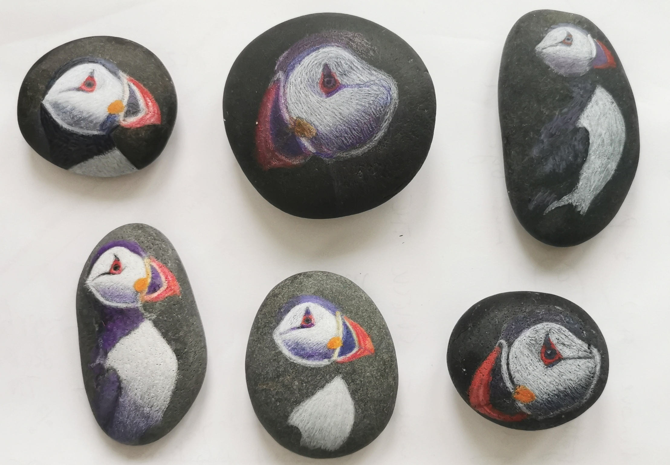 puffin drawing on stones