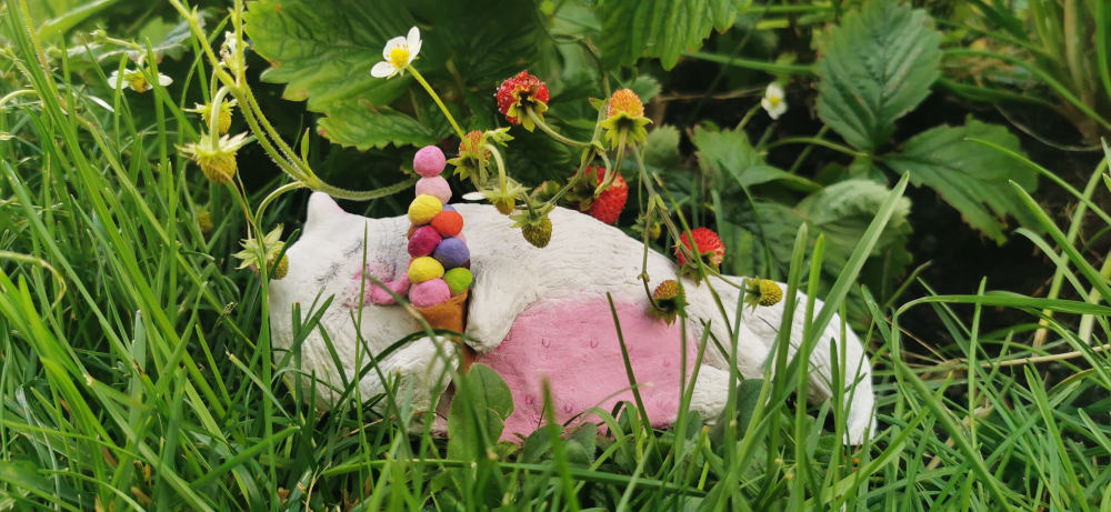 Fat white cat enjoying icecream
